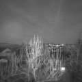 Webcam_20250131-180000