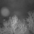Webcam_20250201-061500