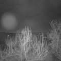 Webcam_20250201-063000