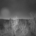 Webcam_20250201-064500