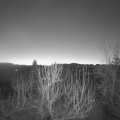 Webcam_20250201-070000