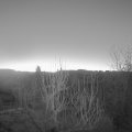 Webcam_20250201-071500