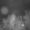 Webcam_20250201-190000