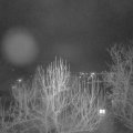Webcam_20250201-200000