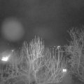 Webcam_20250201-220000