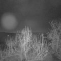 Webcam_20250202-063000
