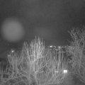 Webcam_20250202-193000