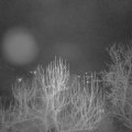 Webcam_20250203-054500