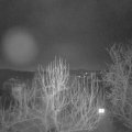 Webcam_20250203-063000