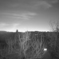 Webcam_20250203-070000