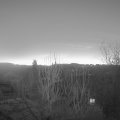 Webcam_20250203-071500