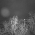Webcam_20250203-193000
