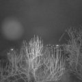 Webcam_20250203-200000