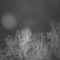 Webcam_20250203-204500