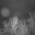 Webcam_20250203-214500