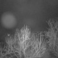 Webcam_20250204-050000