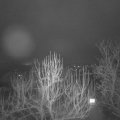 Webcam_20250204-070000