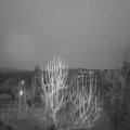 Webcam_20250204-071500