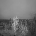 Webcam_20250204-180000