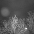 Webcam_20250204-201500