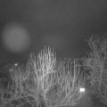 Webcam_20250204-203000