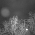 Webcam_20250204-204500