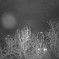 Webcam_20250204-220000