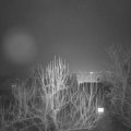 Webcam_20250205-184500