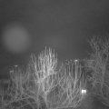 Webcam_20250205-203000