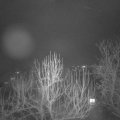 Webcam_20250205-204500