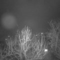 Webcam_20250205-210000