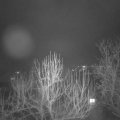 Webcam_20250205-213000