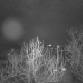 Webcam_20250207-194500