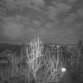 Webcam_20250208-181500