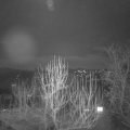 Webcam_20250209-184500