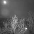 Webcam_20250210-183000