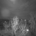 Webcam_20250210-193000