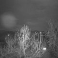 Webcam_20250210-210000