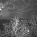 Webcam_20250211-183000