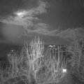 Webcam_20250211-193000
