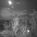 Webcam_20250211-194500