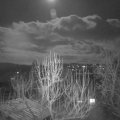 Webcam_20250211-203000