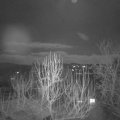 Webcam_20250211-214500