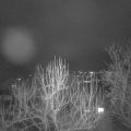 Webcam_20250212-193000