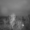 Webcam_20250213-181500