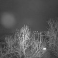 Webcam_20250213-183000