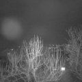 Webcam_20250213-194500
