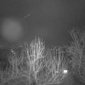 Webcam_20250214-060000