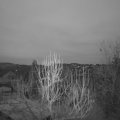 Webcam_20250215-070000