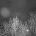 Webcam_20250216-051500